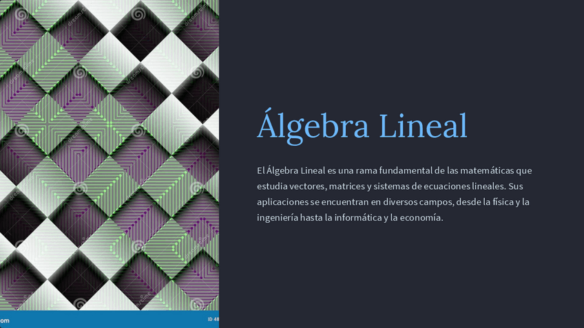 Miniatura del documento Introduccion-al-Algebra-Lineal.pdf