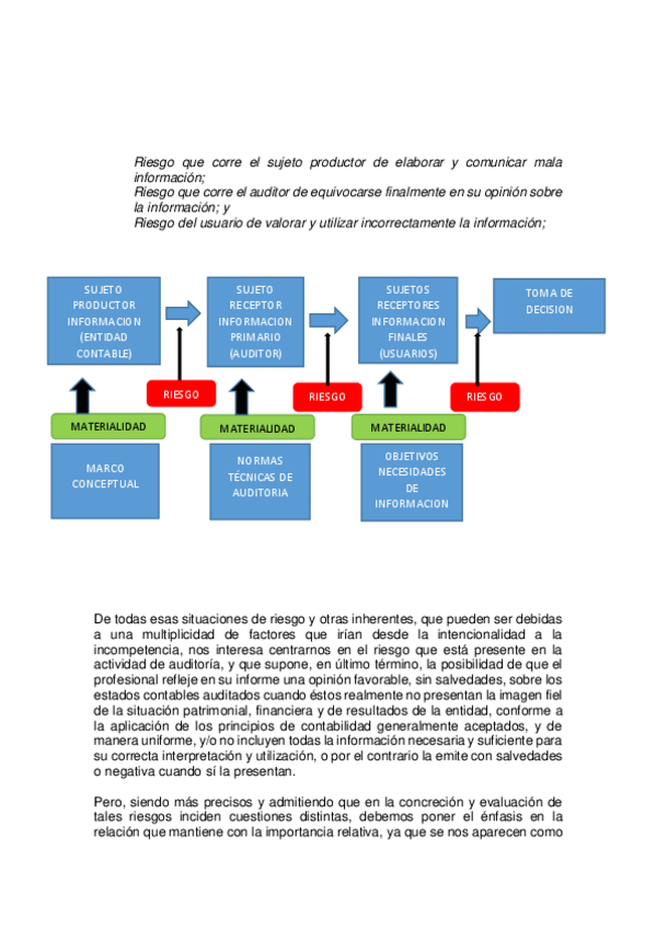 Miniatura del documento T 5 Riesgo de Auditoria..pdf
