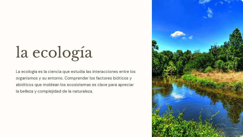 Miniatura del documento la-ecologia.pdf
