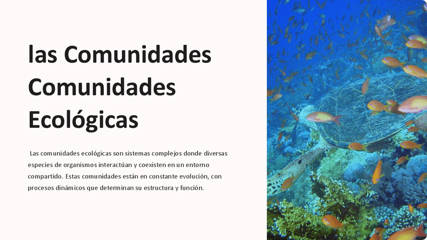 Miniatura del documento las-Comunidades-Ecologicas.pdf