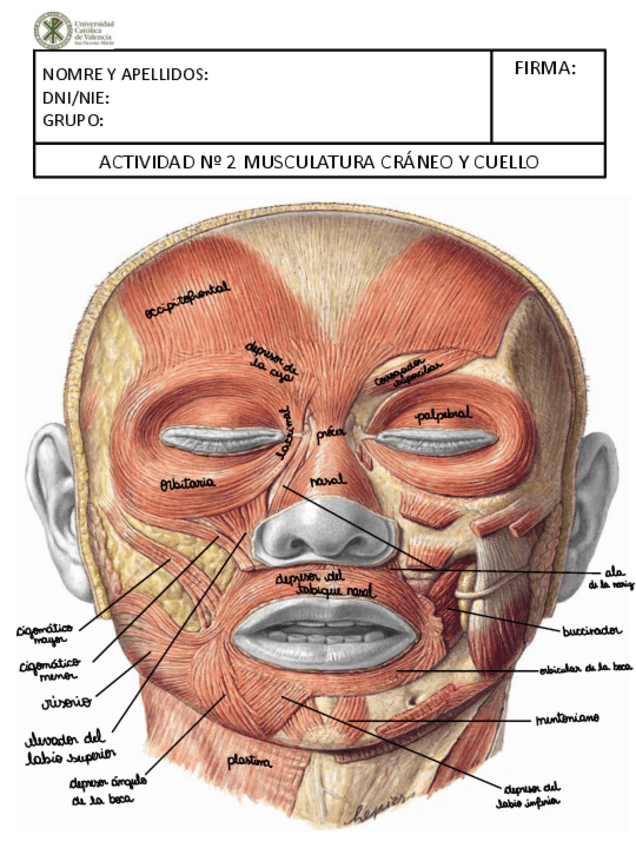 Miniatura del documento Laminas-para-estudiar.pdf