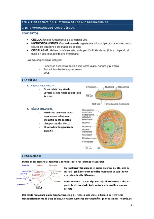 Miniatura del documento Apuntes-micro.pdf