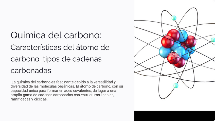 Miniatura del documento Quimica-del-carbono-Caracteristicas-del-atomo-de-carbono-tipos-de-cadenas-carbonadas.pdf