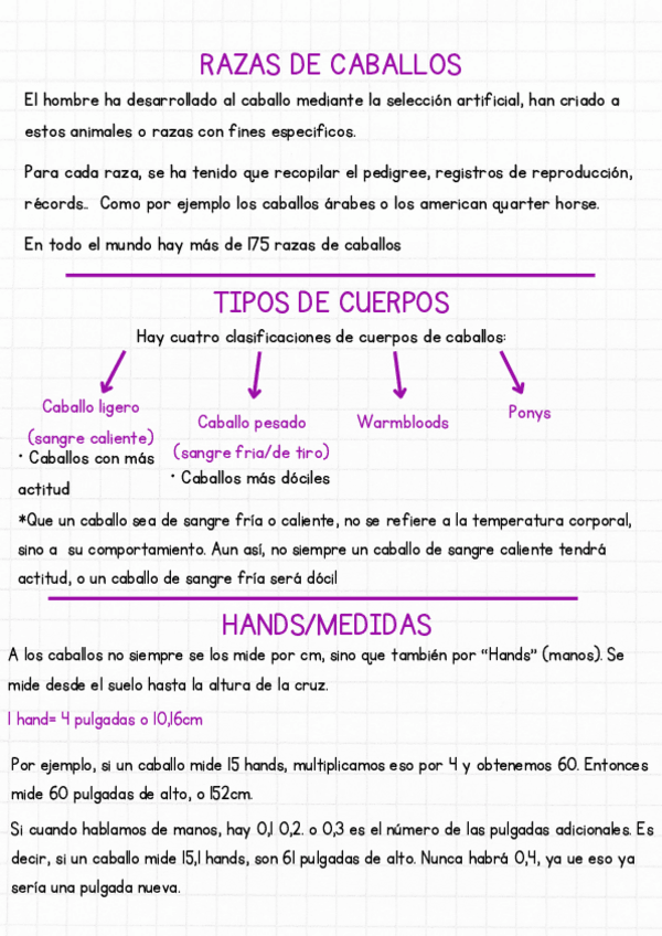 Miniatura del documento Razas-de-caballos-y-ponis.pdf