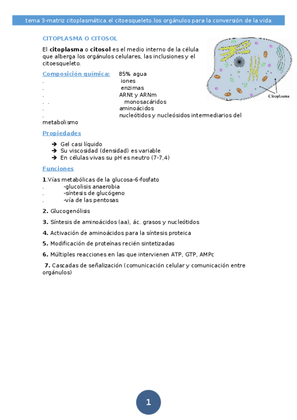 Miniatura del documento CITOPLASMA-O-CITOSOL-st-grado-quimica-tema-3.docx