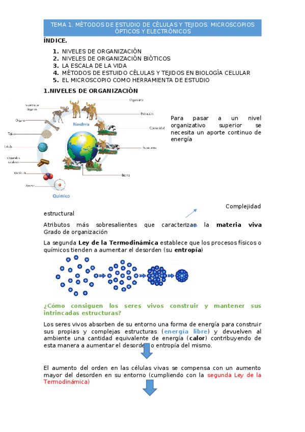 Miniatura del documento tema-1-bio-grado-quimica.docx