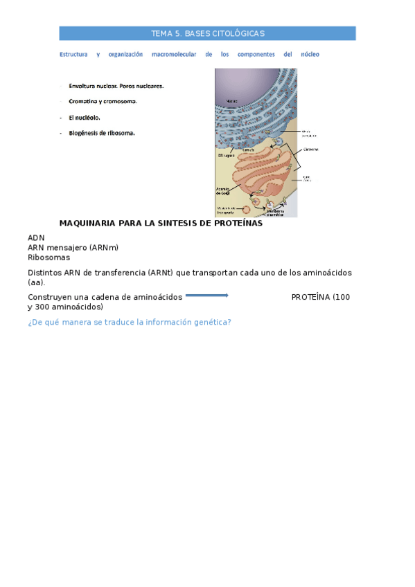 Miniatura del documento tema-5-bio-grado-quimica.docx