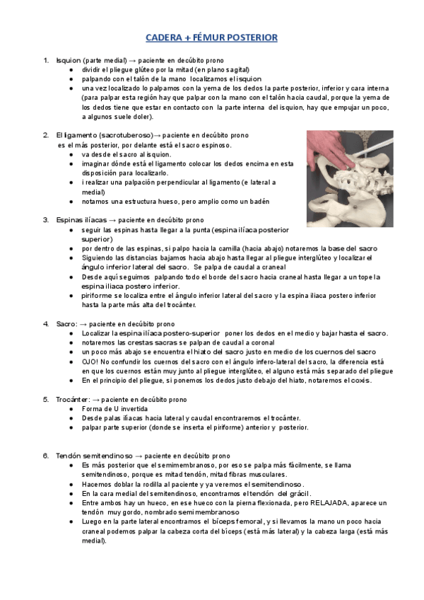 Miniatura del documento SEMINARIO-CADERA--FEMUR-POSTERIOR.pdf