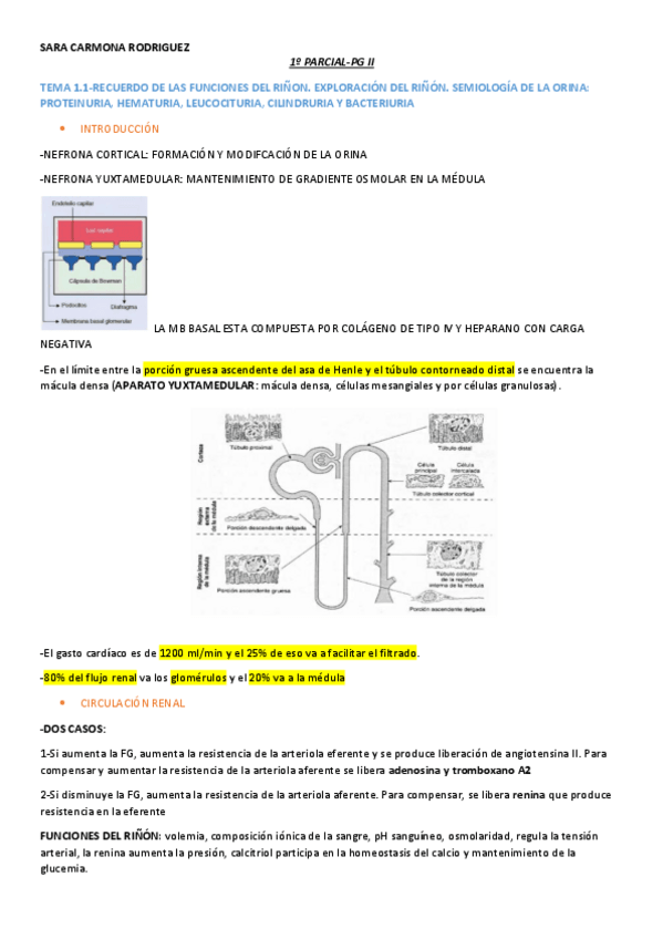 Miniatura del documento 1o-PARCIAL-PG-II-SARA-CARMONA.pdf