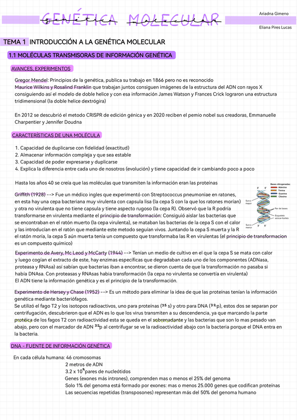 Miniatura del documento Genetica-Molecular-apts.pdf