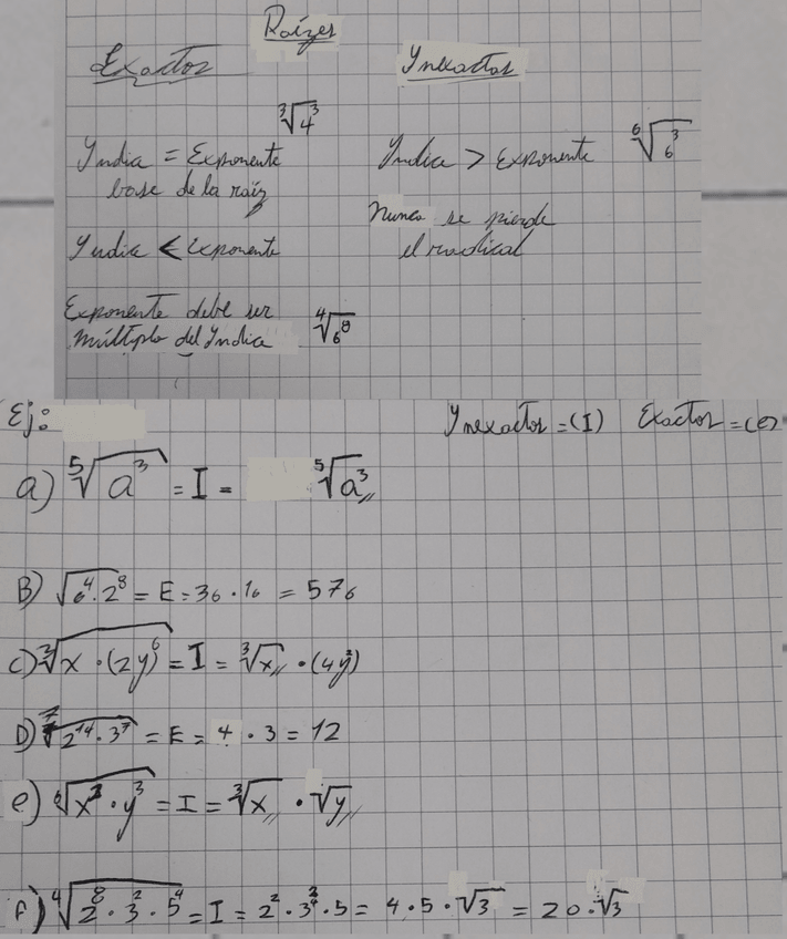 Miniatura del documento Raices-exactas-y-inexactas.png