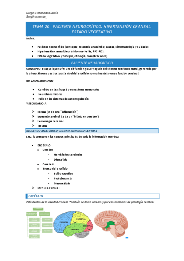 Miniatura del documento TEMA-10.7-Neurocritico.pdf