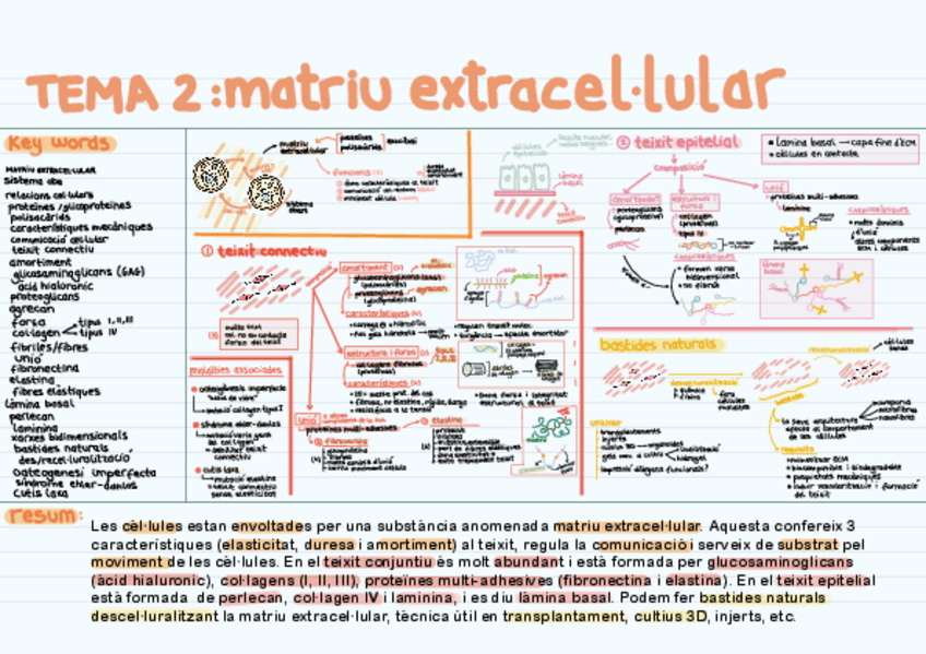 Miniatura del documento ESQUEMES-BIOLOGIA-CELLULAR.pdf