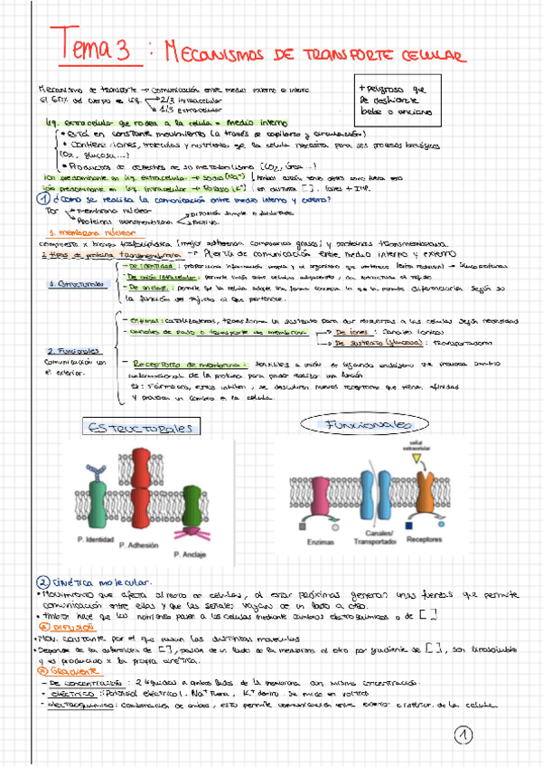 Miniatura del documento Tema-3.pdf
