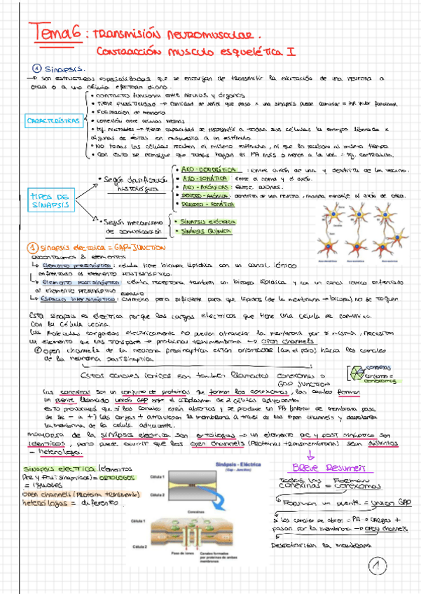 Miniatura del documento Tema-6.pdf