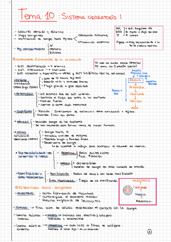 Miniatura del documento Tema-10.pdf