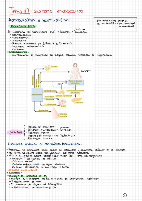 Miniatura del documento Tema-17.pdf