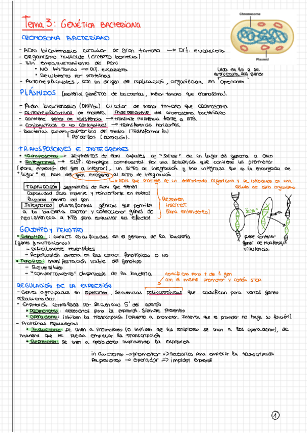 Miniatura del documento Tema-3.pdf