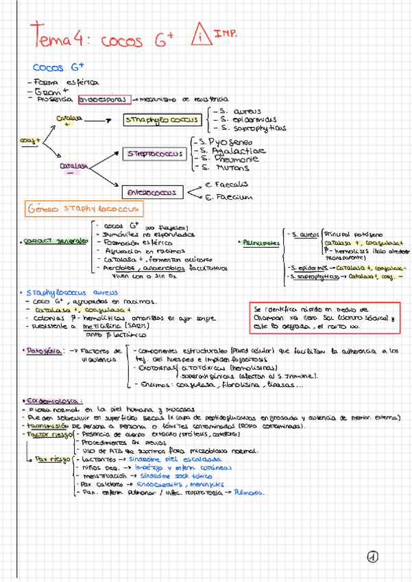 Miniatura del documento Tema-4.pdf