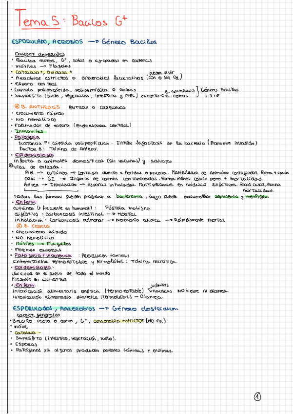 Miniatura del documento Tema-5.pdf