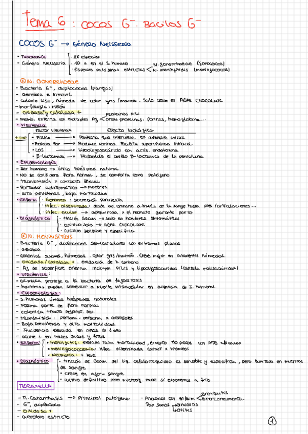 Miniatura del documento Tema-6.pdf