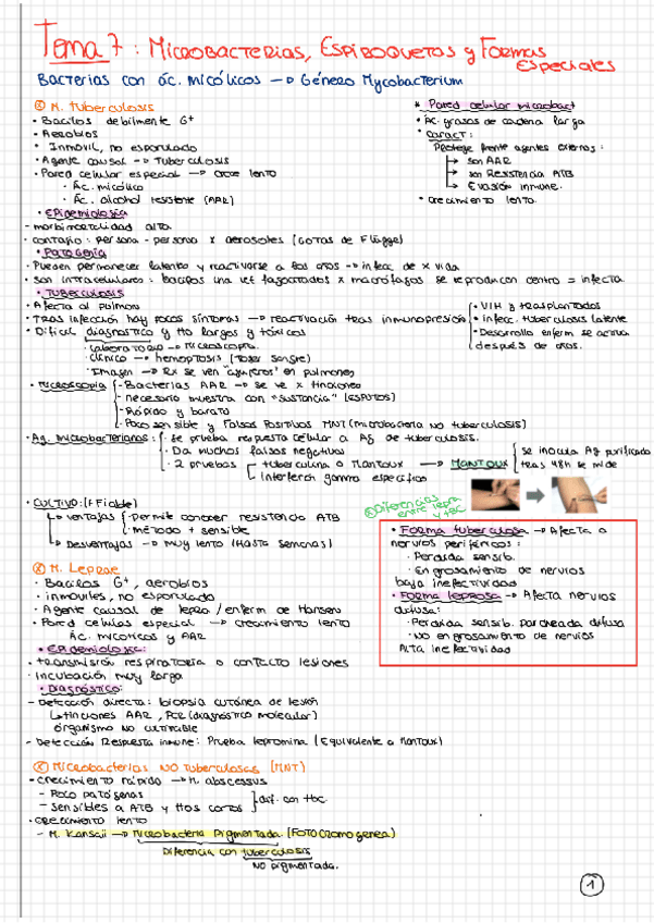 Miniatura del documento Tema-7.pdf