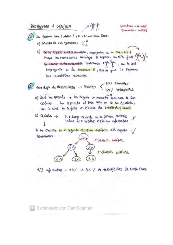 Miniatura del documento Problemas-Genetica-Cromosomas.pdf