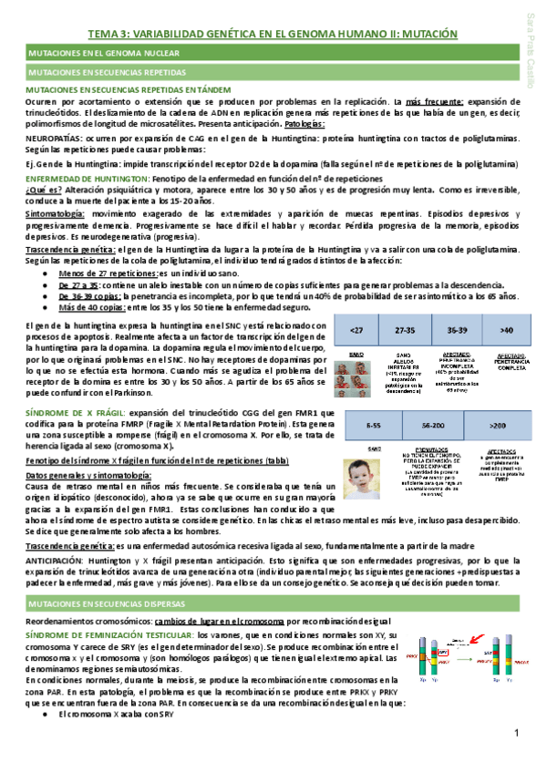 Miniatura del documento TEMA-3-VARIABILIDAD-GENETICA-EN-EL-GENOMA-HUMANO-II-MUTACION-1.pdf