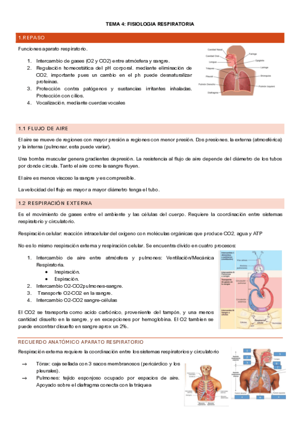 Miniatura del documento fisiologia-tema-4.pdf