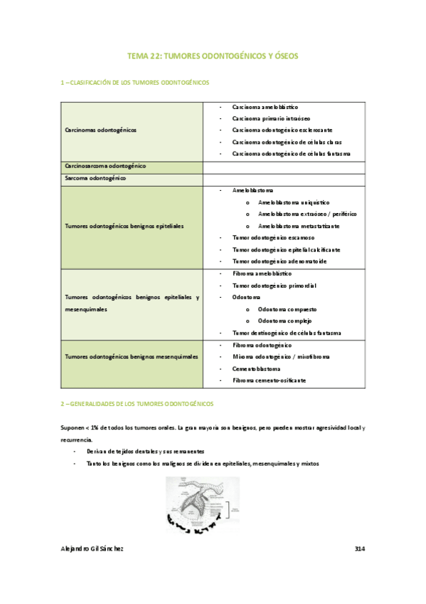 Miniatura del documento Tema-22-medicina.pdf