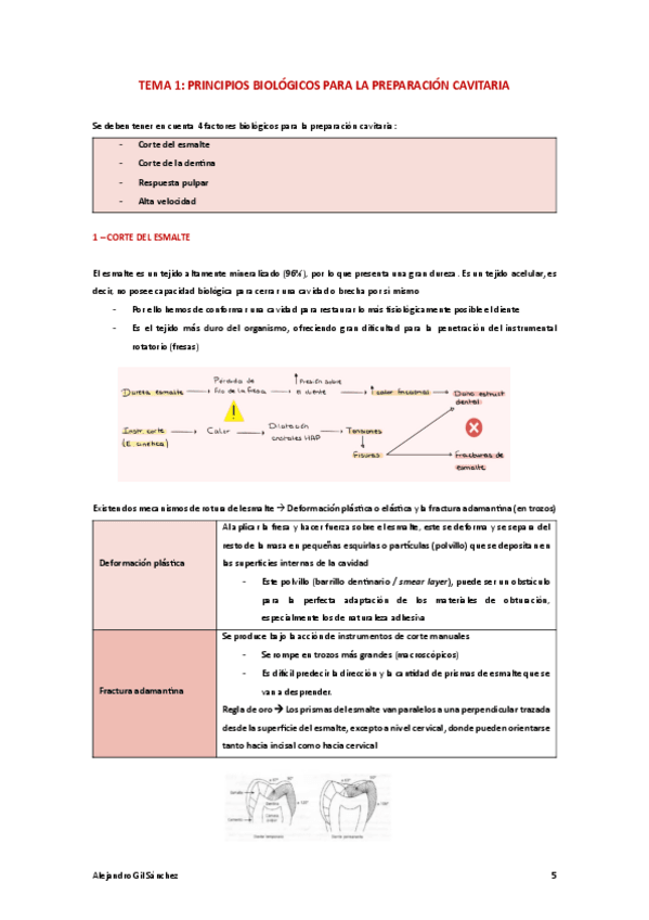 Miniatura del documento Tema-1-PTD.pdf