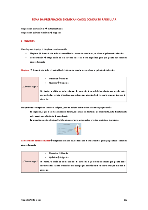 Miniatura del documento Tema-10-PTD.pdf