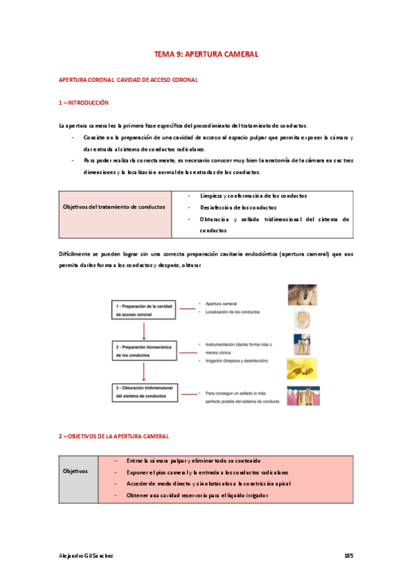 Miniatura del documento Tema-9-PTD.pdf