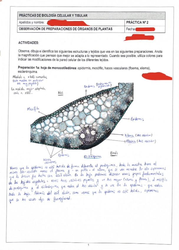 Miniatura del documento Practica2BICT.pdf