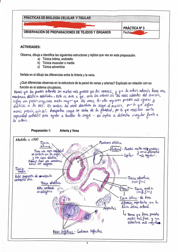 Miniatura del documento Practica3BICT.pdf
