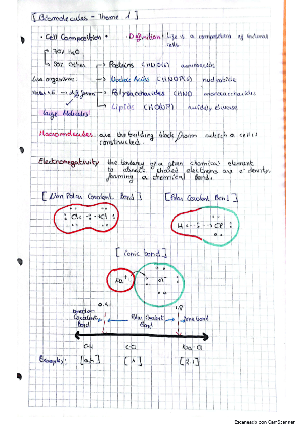 Miniatura del documento biomolecules.pdf