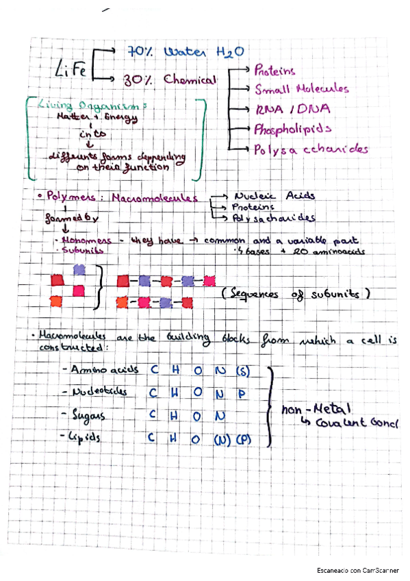 Miniatura del documento Introduction-to-Biomolecules.pdf