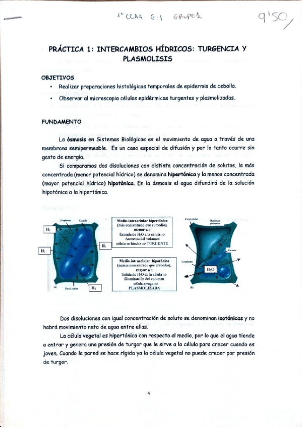 Miniatura del documento Fisiologia-Practica-1-Intercambio-hidricos.pdf
