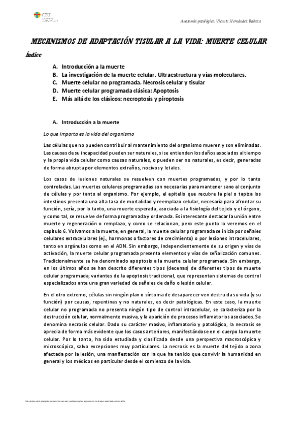 Miniatura del documento II.-Muerte-Celular.pdf
