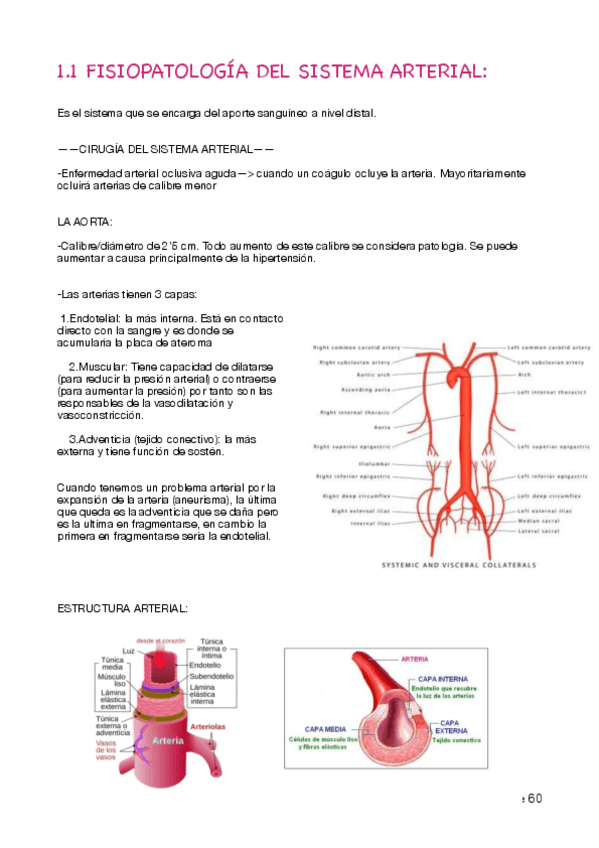 Miniatura del documento Apuntes-fisiopatologia-Tema-1.pdf