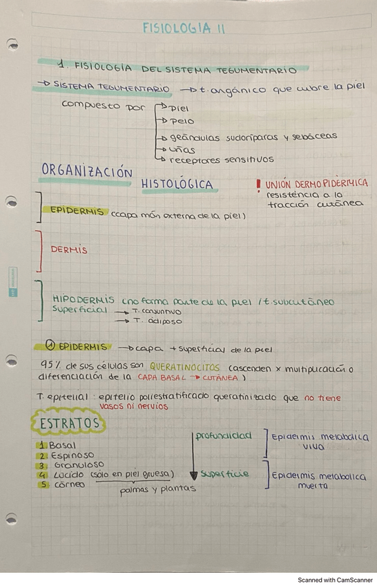 Miniatura del documento Apuntes-fisiologia-II-carlos.pdf