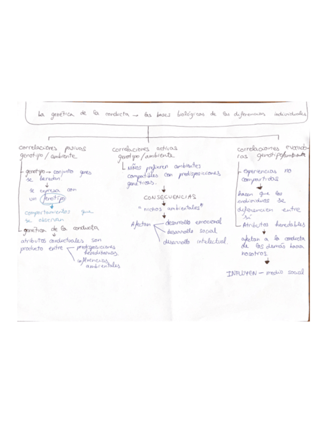 Miniatura del documento La-genetica-de-la-conducta-las-bases-biologicas-de-las-diferencias-individuales.pdf