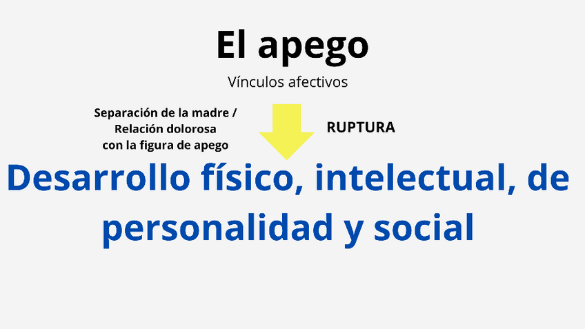 Miniatura del documento Apego-1-1.pdf