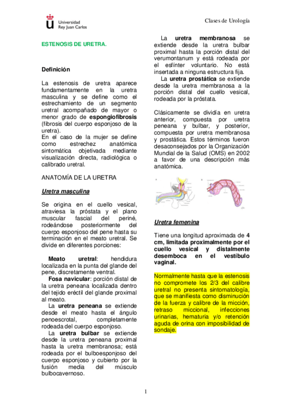 Miniatura del documento ESTENOSIS-DE-URETRA.pdf