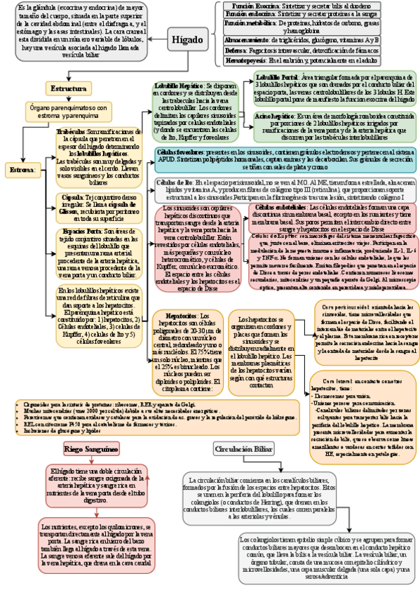 Miniatura del documento esquema-tema-25.pdf