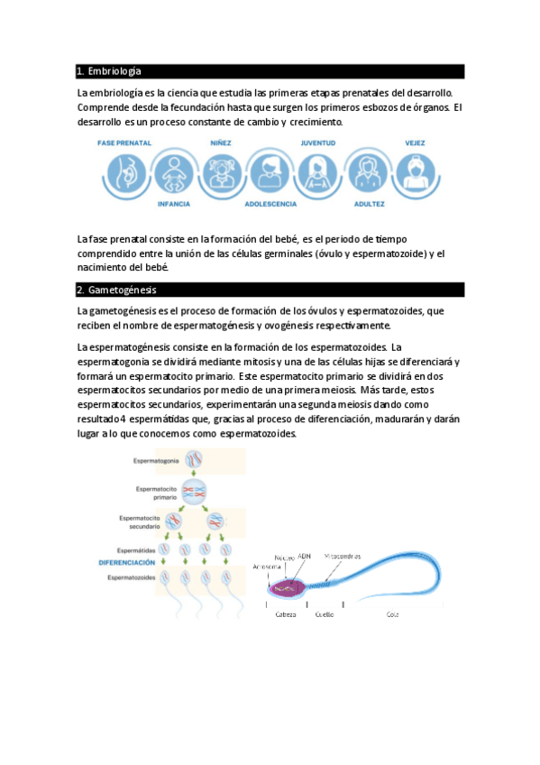 Miniatura del documento Tema-3.pdf