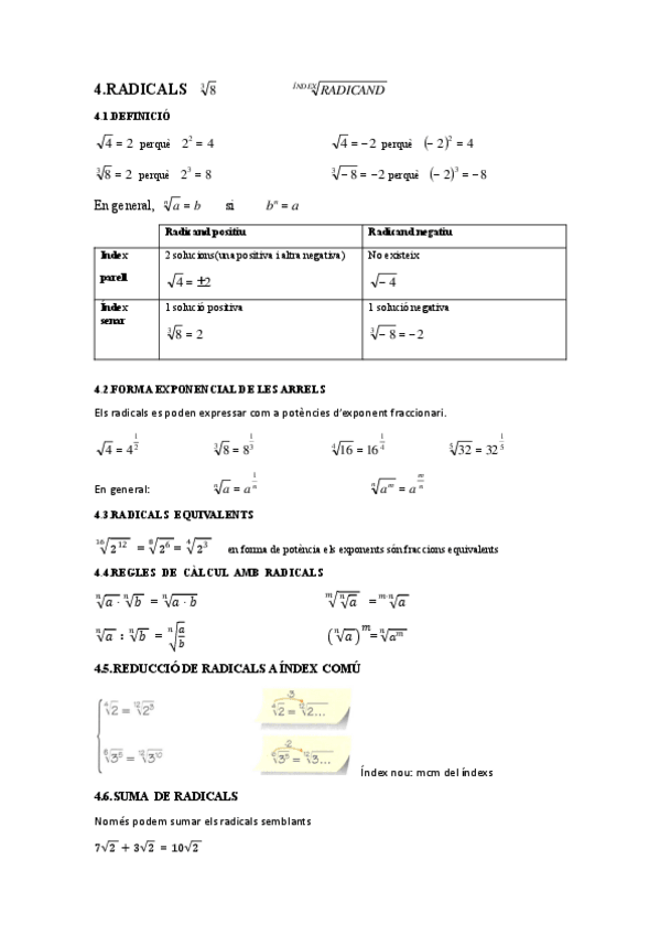 Miniatura del documento Arrels-Raices.pdf