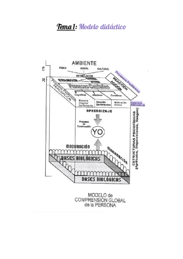 Miniatura del documento TEMA-1-Psicologia.pdf