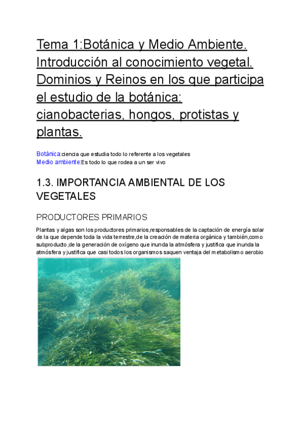Miniatura del documento Tema-1Botanica-y-Medio-Ambiente.pdf