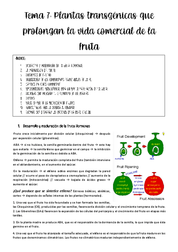 Miniatura del documento tema-7-BPH.pdf